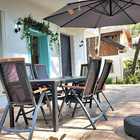 Cozy Pinetrees House 別荘