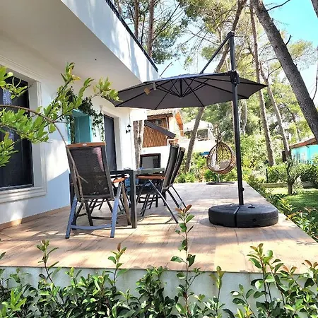 Cozy Pinetrees House 別荘 *