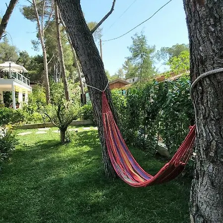 Σπίτι διακοπών Cozy Pinetrees House