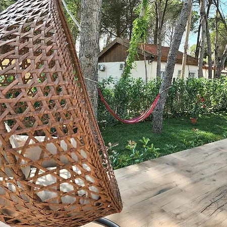 Σπίτι διακοπών Cozy Pinetrees House *