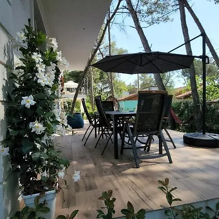 Cozy Pinetrees House Holiday home *