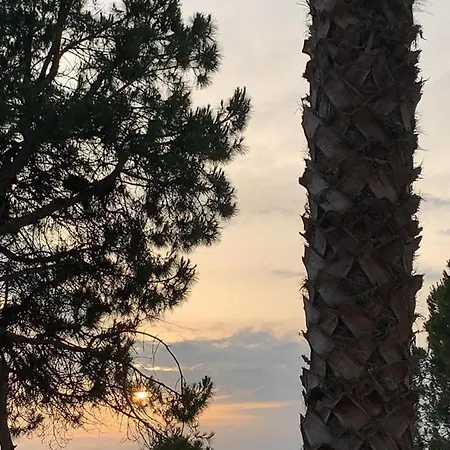 Cozy Pinetrees House Holiday home Golem (Tirana)