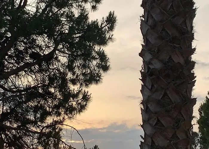 Cozy Pinetrees House Dom wakacyjny Golem (Tirana)